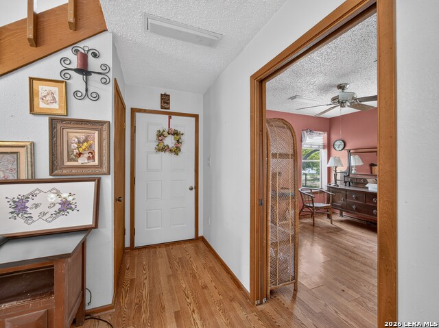503 Hackberry St Property Photo 3