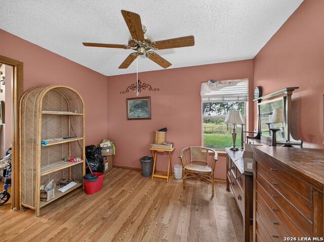503 Hackberry St Property Photo 17