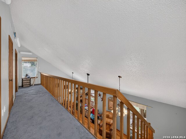 503 Hackberry St Property Photo 20