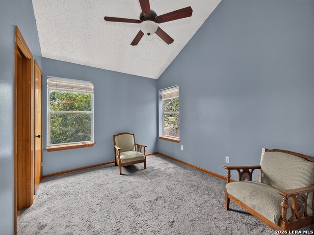 503 Hackberry St Property Photo 25