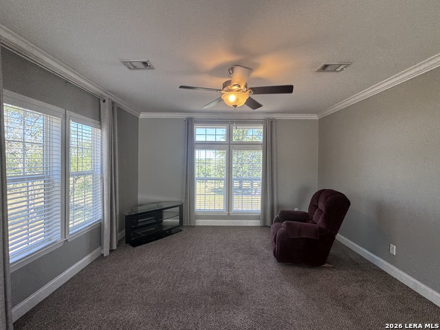 3761 Forest Trail Dr Property Photo 5