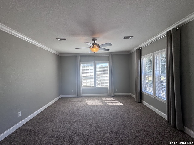 3761 Forest Trail Dr Property Photo 6