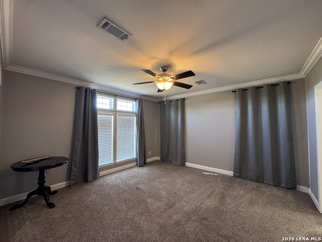 3761 Forest Trail Dr Property Photo 11