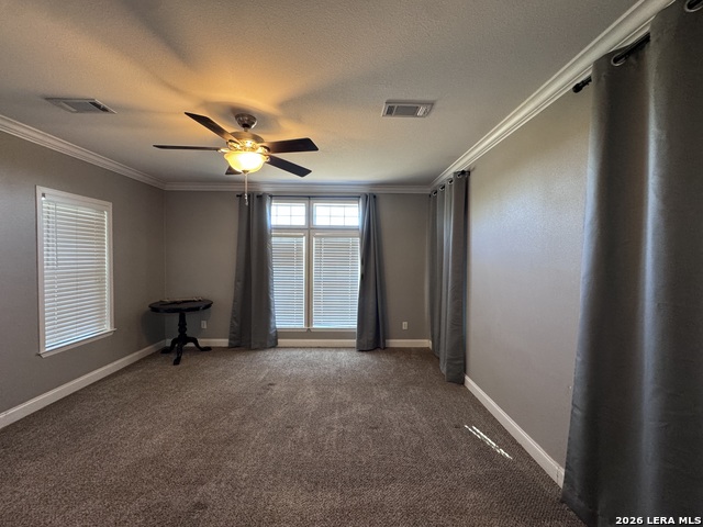 3761 Forest Trail Dr Property Photo 12
