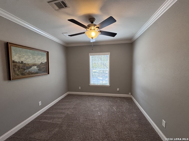 3761 Forest Trail Dr Property Photo 20