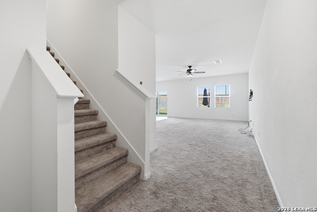 8623 Basil Brk Property Photo 3