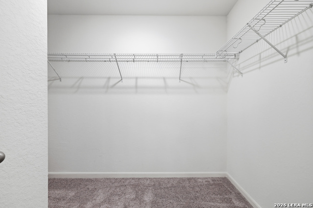 8623 Basil Brk Property Photo 19