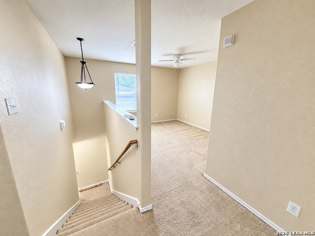 7127 Comet Manor Property Photo 4
