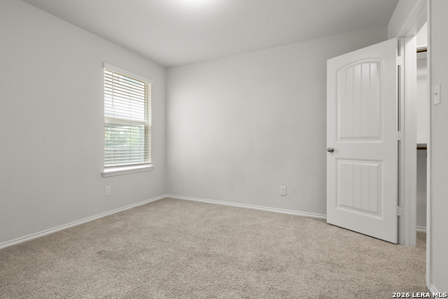 29521 Summer Copper Property Photo 14