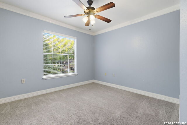 6915 Raintree Frst Property Photo 25