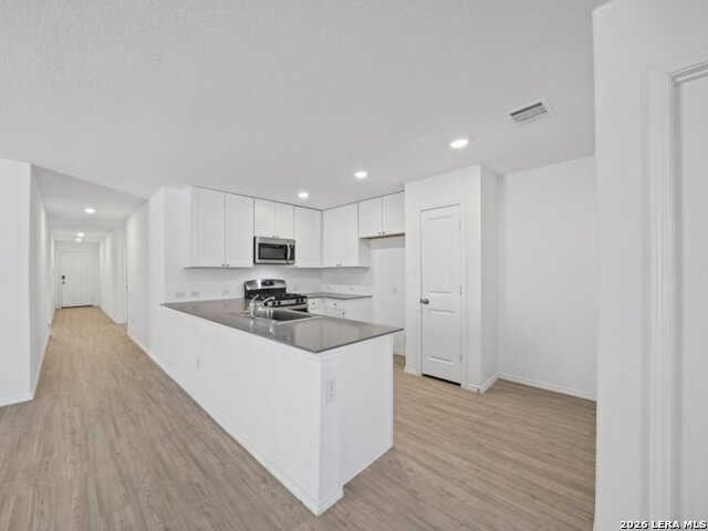 12903 Sage Turn Property Photo 7