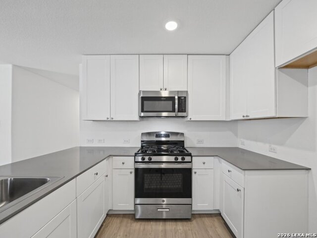 12903 Sage Turn Property Photo 10
