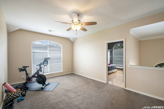 24510 Arrow Tree Property Photo 15
