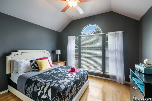 24510 Arrow Tree Property Photo 19