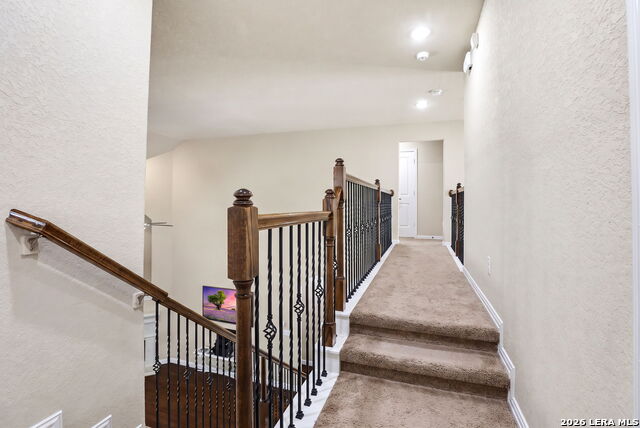 12315 Lexi Petal Property Photo 21