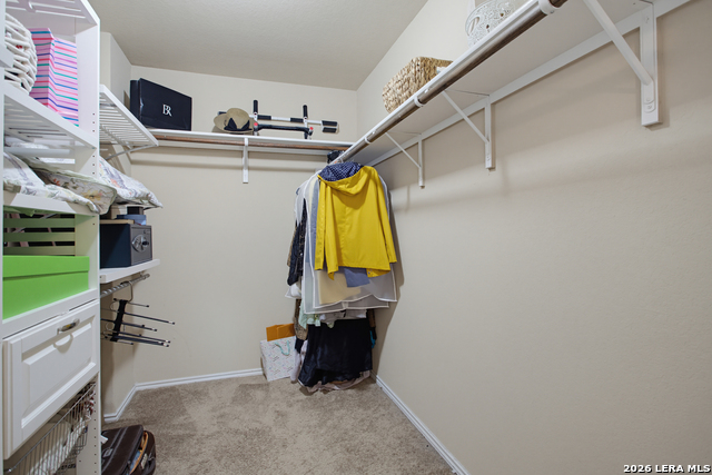 446 Redbird Chase Property Photo 17