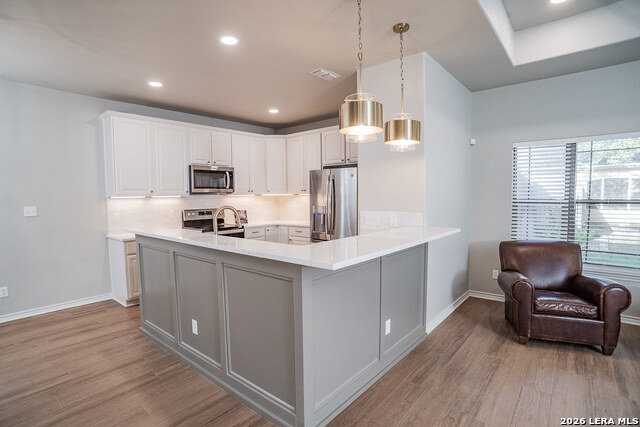 526 Blue Heron Property Photo 9