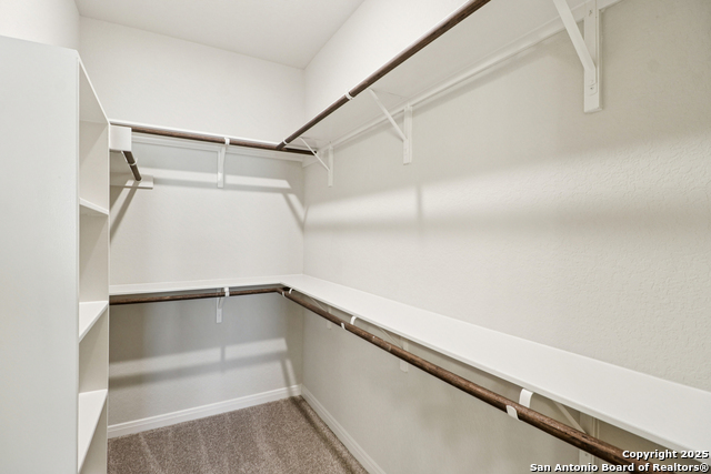 12304 Melrose Frst Property Photo 19