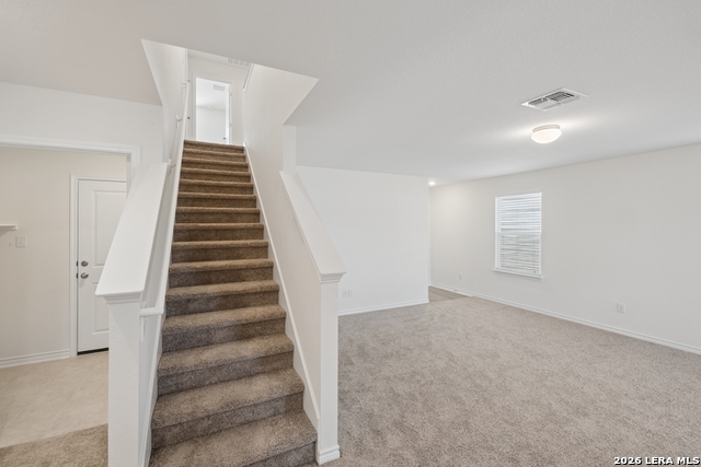 4519 Gato Calico Dr Property Photo 6