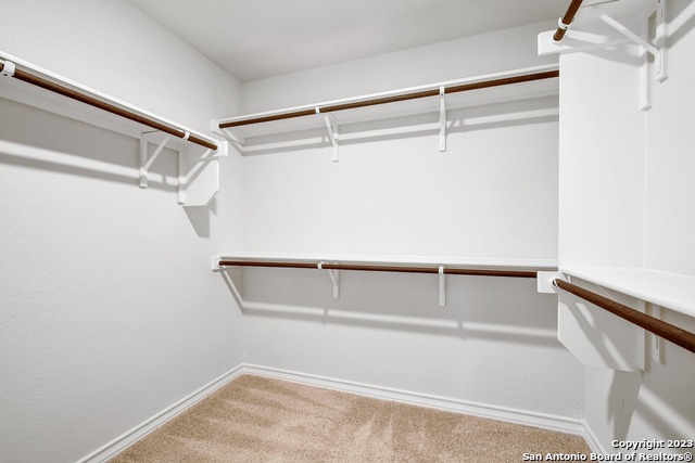 13302 Silky Rye Property Photo 17