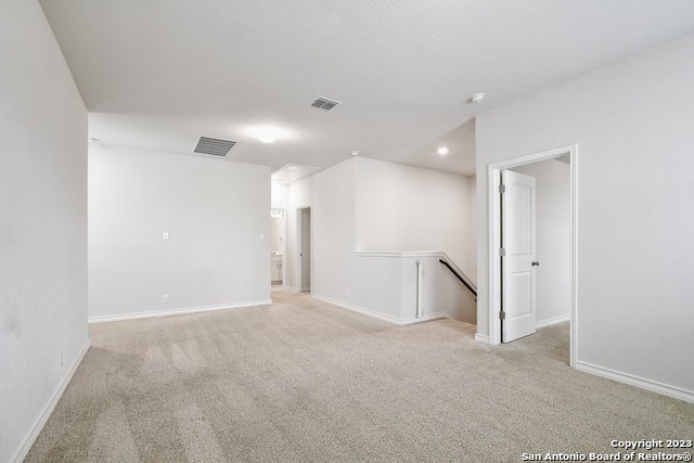 13302 Silky Rye Property Photo 21