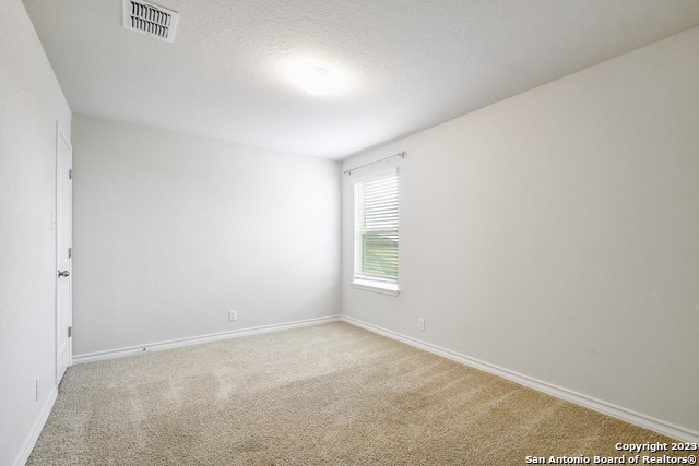 13302 Silky Rye Property Photo 22