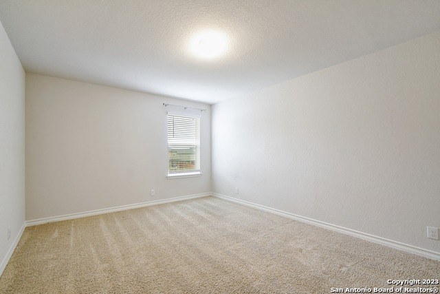 13302 Silky Rye Property Photo 23
