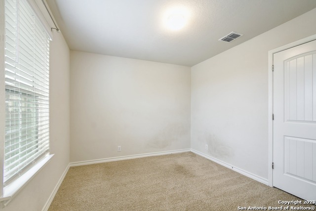 13302 Silky Rye Property Photo 25