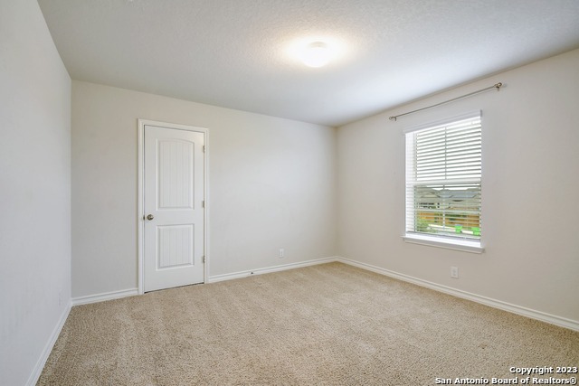 13302 Silky Rye Property Photo 26