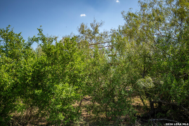 0 Hotz Rd Property Photo 32