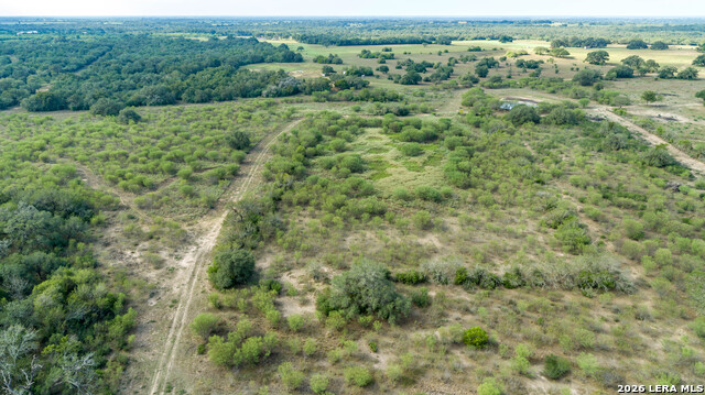 1116 Earl Williams Property Photo 4