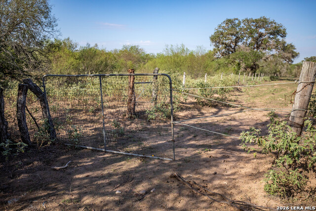 1116 Earl Williams Property Photo 11