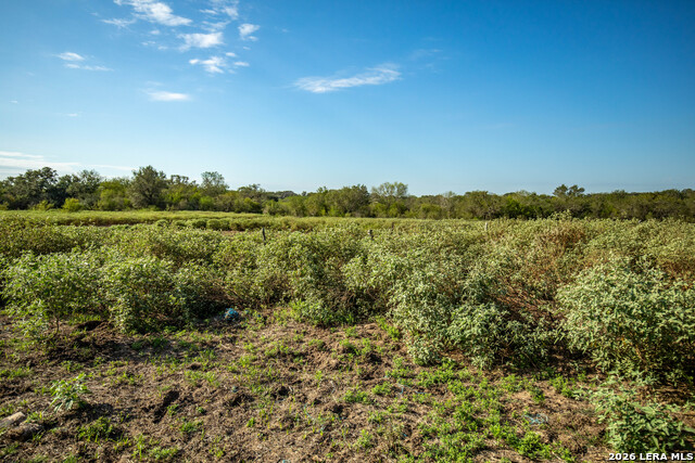 1116 Earl Williams Property Photo 12