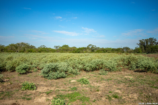 1116 Earl Williams Property Photo 13