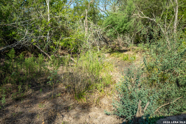 1116 Earl Williams Property Photo 15