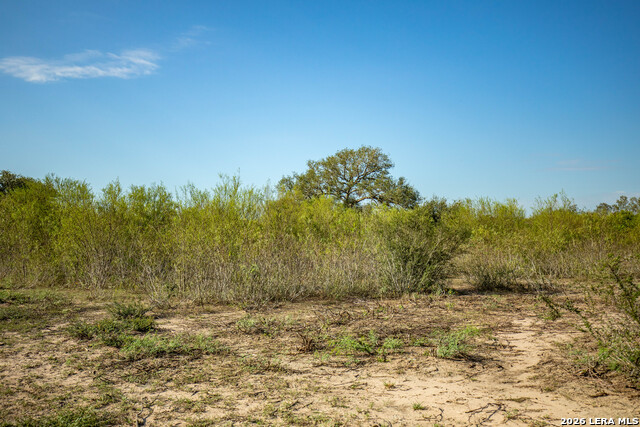 1116 Earl Williams Property Photo 16
