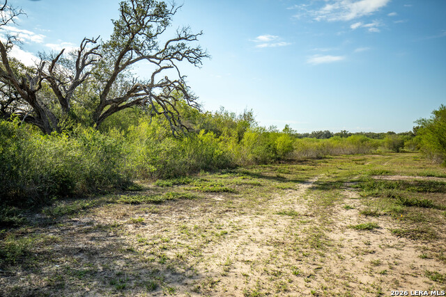 1116 Earl Williams Property Photo 17