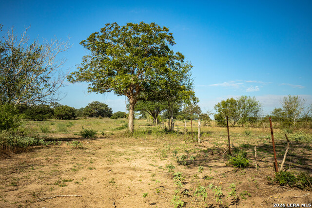 1116 Earl Williams Property Photo 21