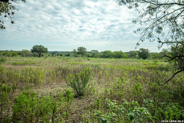 1116 Earl Williams Property Photo 22