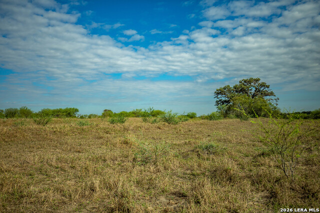 1116 Earl Williams Property Photo 23