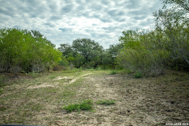 1116 Earl Williams Property Photo 24