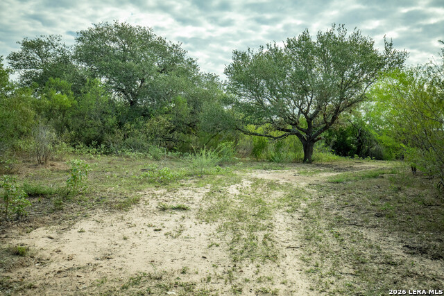 1116 Earl Williams Property Photo 25