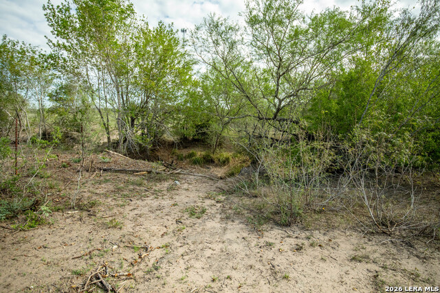 1116 Earl Williams Property Photo 28