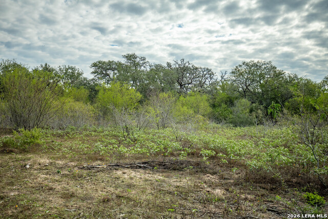 1116 Earl Williams Property Photo 30