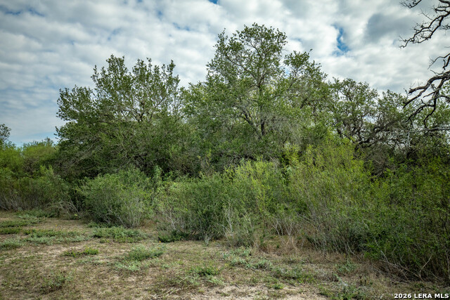 1116 Earl Williams Property Photo 31