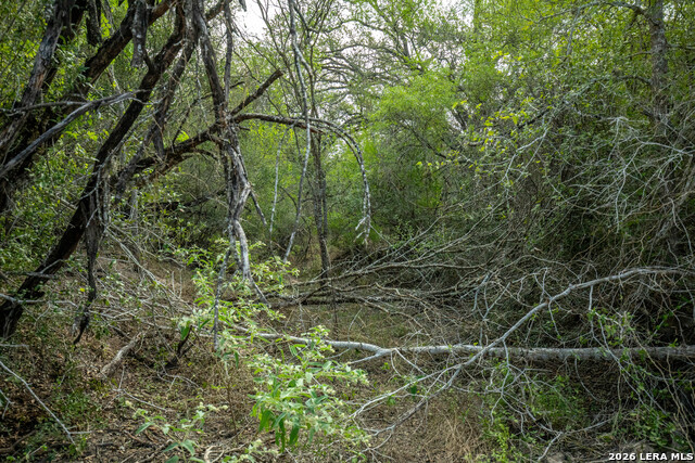 1116 Earl Williams Property Photo 32