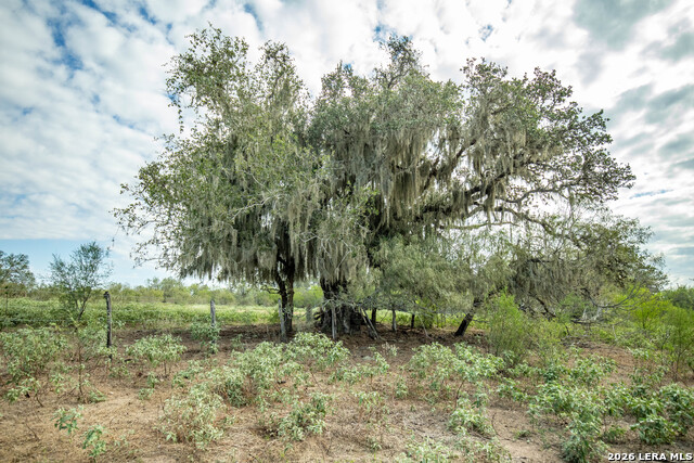 1116 Earl Williams Property Photo 33
