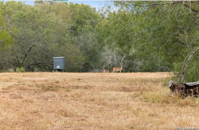 000 Cr 171 Property Photo 1