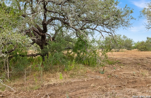 000 Cr 171 Property Photo 9