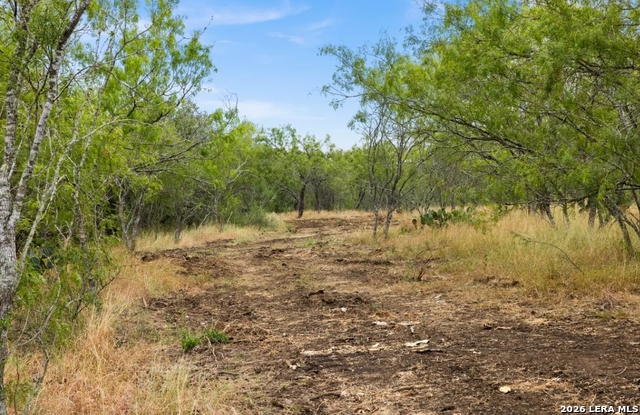 000 Cr 171 Property Photo 11